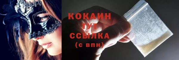 ПСИЛОЦИБИНОВЫЕ ГРИБЫ Горняк