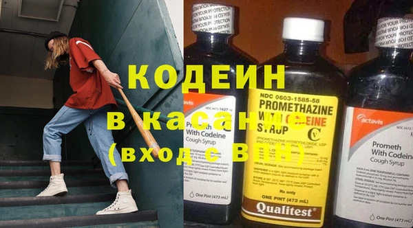 ПСИЛОЦИБИНОВЫЕ ГРИБЫ Горняк