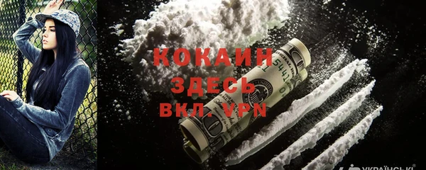 ПСИЛОЦИБИНОВЫЕ ГРИБЫ Горняк