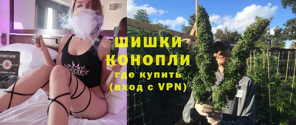 ПСИЛОЦИБИНОВЫЕ ГРИБЫ Горняк