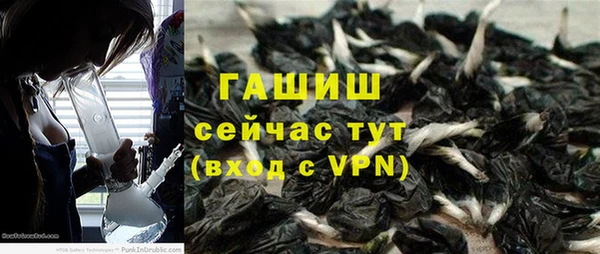 индика Нефтекумск